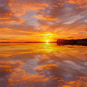 久久精品国产亚洲AV无码娇
